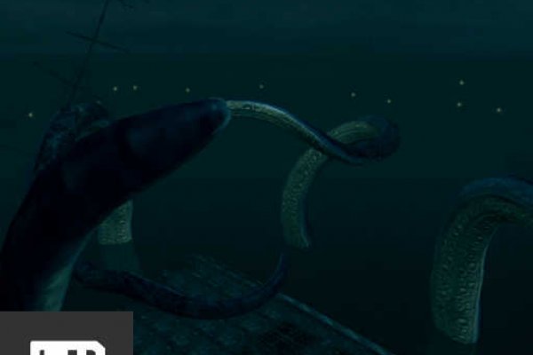 Kraken 12at зеркало