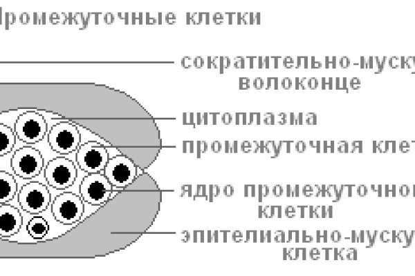 Даркнет маркет кракен onion