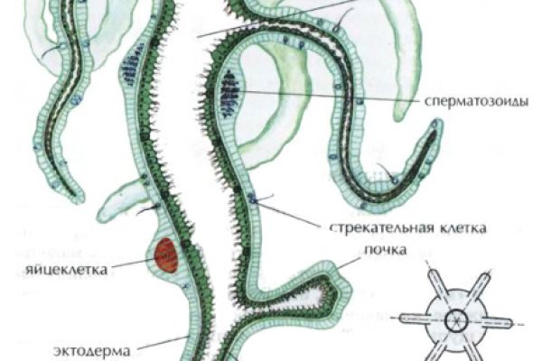 Кракен зеркало gigageek ru