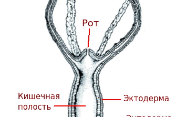 Кракен шеринг