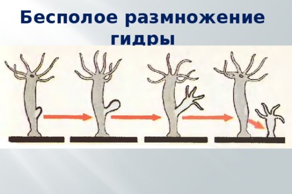 Вход на кракен
